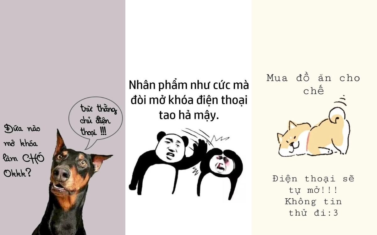 Hình nền cute có chữ hài hước