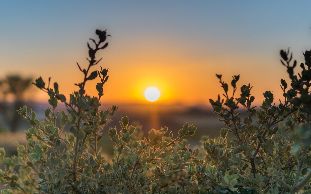 Hình nền máy tính thiên nhiên đẹp 1