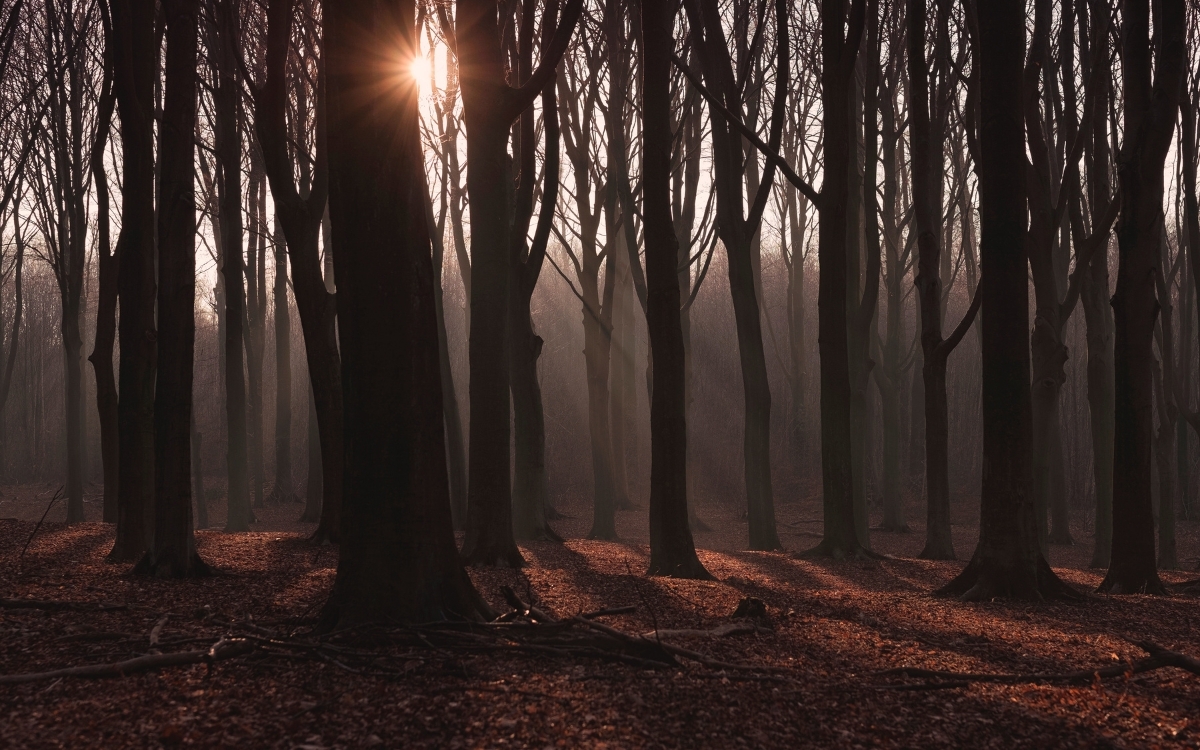 Hình nền máy tính thiên nhiên buồn 4