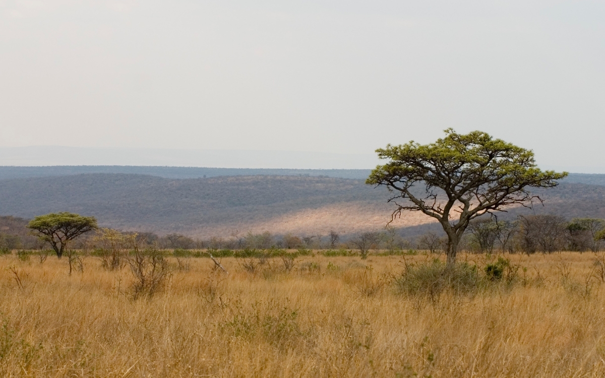 Hình nền máy tính thiên nhiên buồn 2