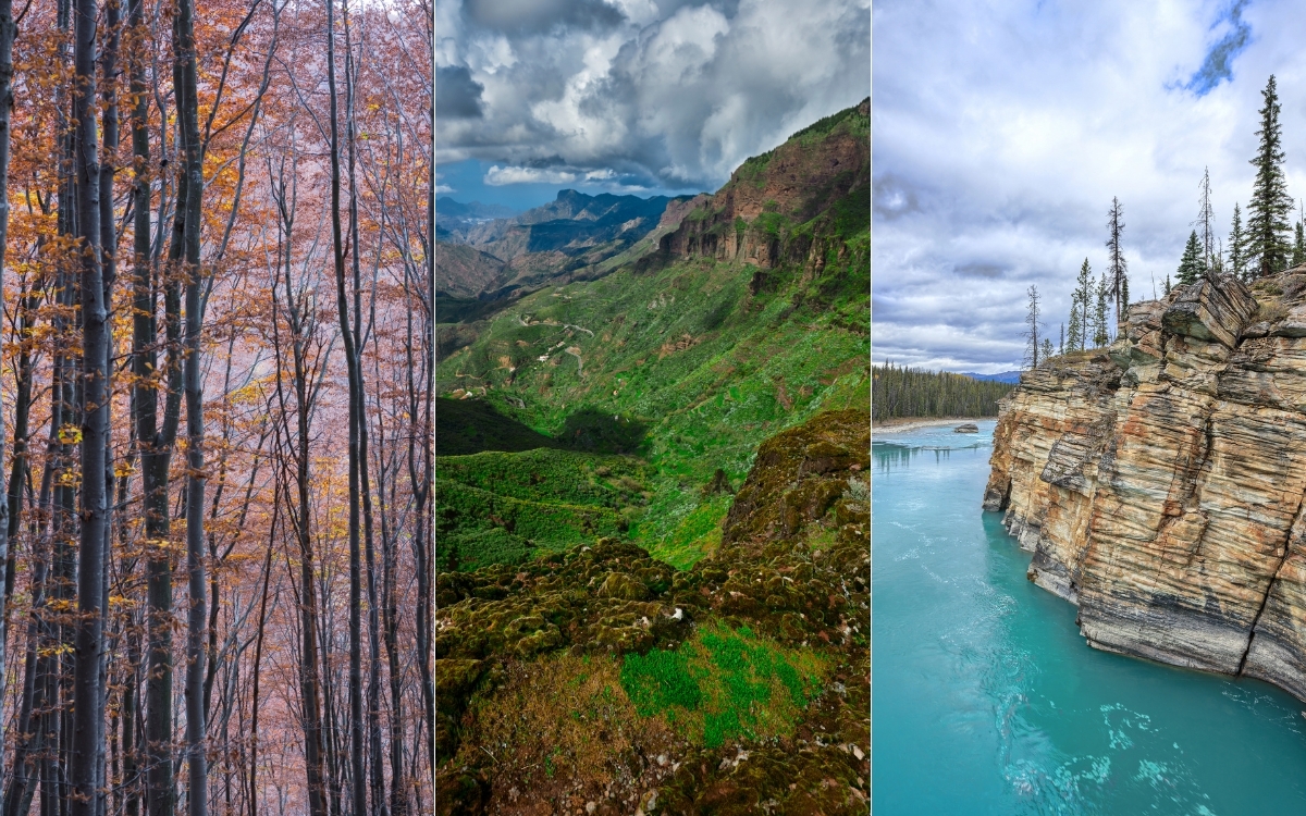 Hình nền điện thoại thiên nhiên đẹp 1