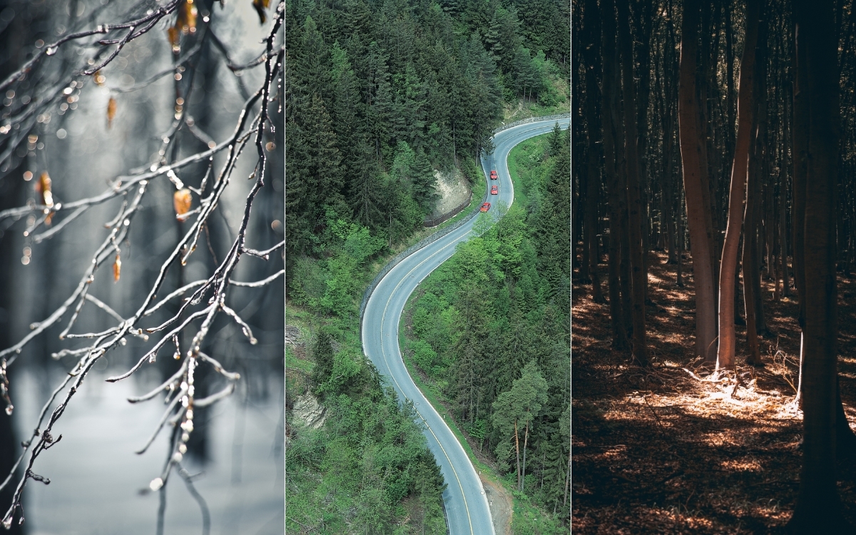 Hình nền điện thoại thiên nhiên buồn 1