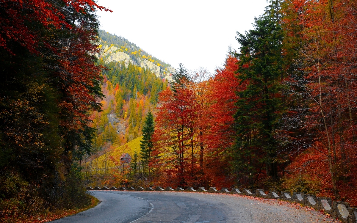 Vì sao các hình nền thiên nhiên được yêu thích?