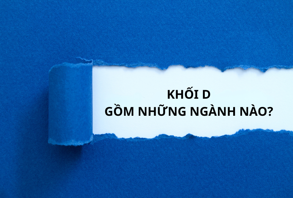 Khối D có nhiều tổ hợp môn và ngành đa dạng