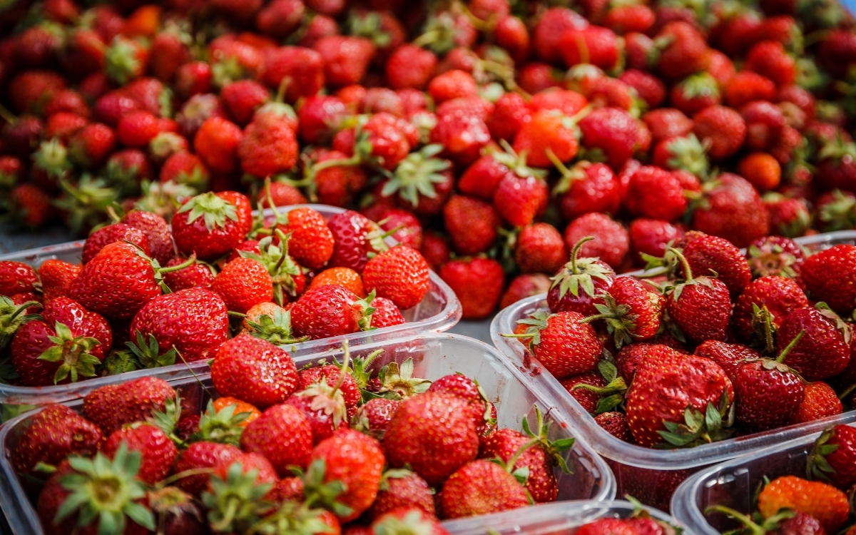 Cách bảo quản dâu tây khi mang đi xa