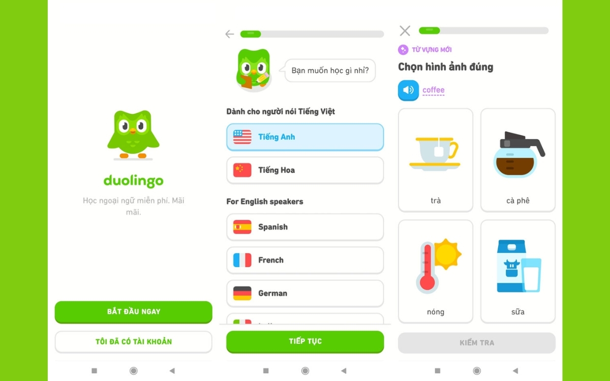 Cách sử dụng Duolingo
