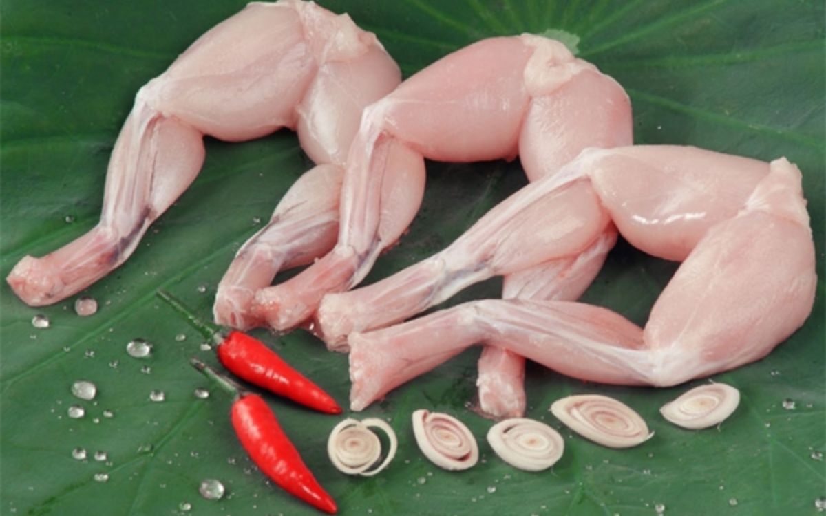 Mẹo giúp chọn thịt ếch tươi ngon