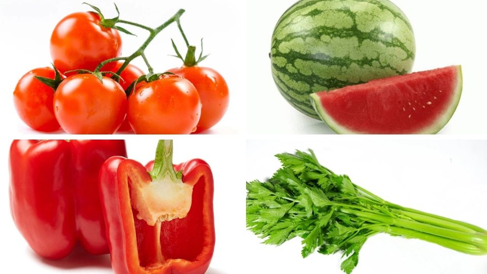 Nguyên liệu làm nước ép cà chua, dưa hấu, ớt chuông