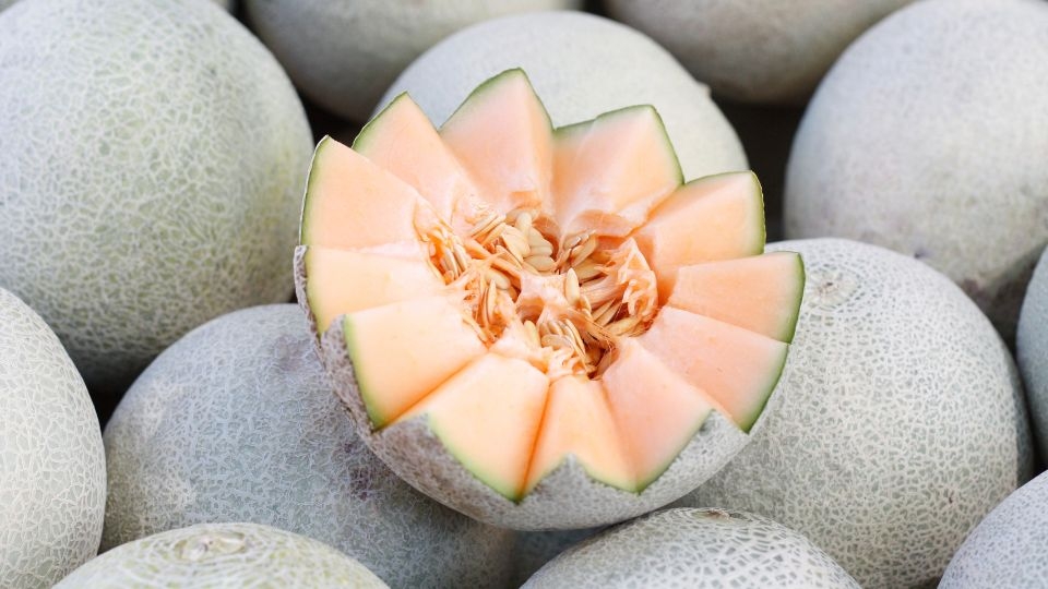 Hình ảnh quả dưa lưới