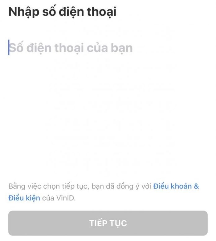 VinID 03