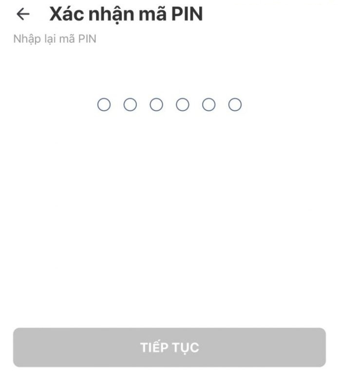 VinID 06