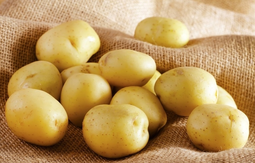 Cách vệ sinh vòi sen tắm sáng bóng, sạch sẽ chỉ với những nguyên liệu có sẵn 3