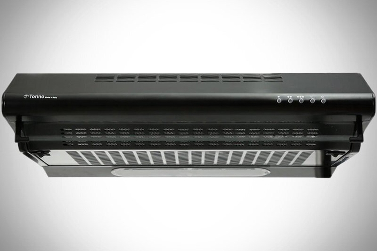 Torino là thương hiệu nước nào? (hình 5)