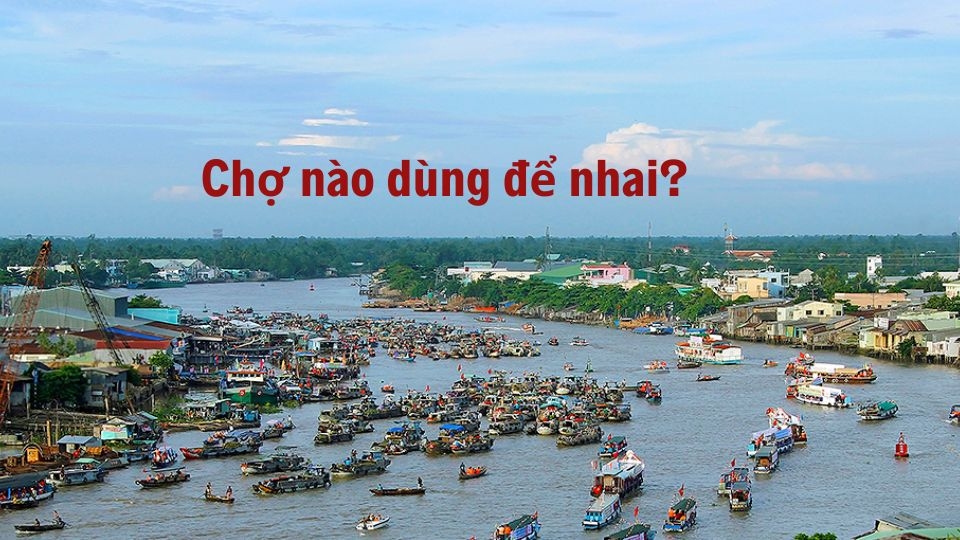 Để giải được các câu đố vui dân gian đòi hỏi phải có sự tinh ý và liên tưởng tốt