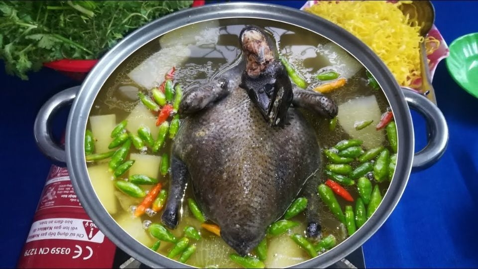 Lẩu gà ác tiềm ớt hiểm