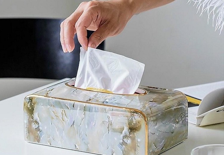 Hộp đựng giấy sứ sang trọng, thời thượng