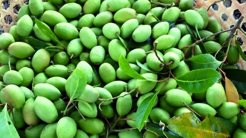 Cách chọn mua cà na ngon để làm mứt