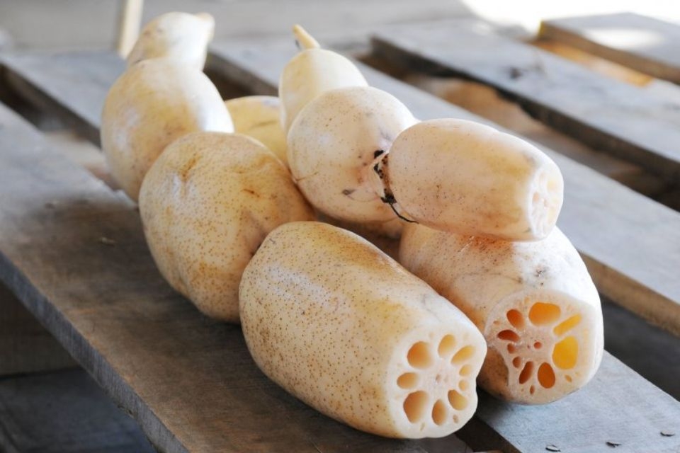 Cách chọn củ sen tươi ngon
