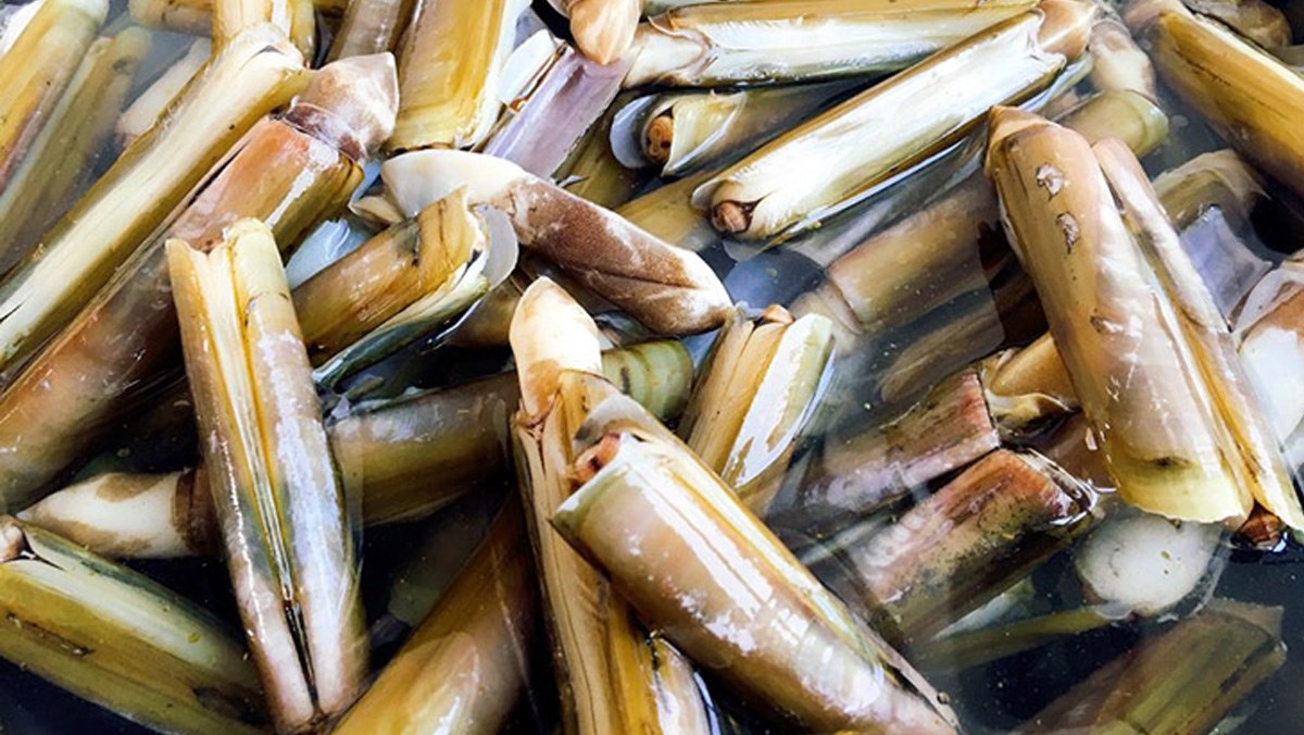 ốc móng tay xào bơ tỏi 2