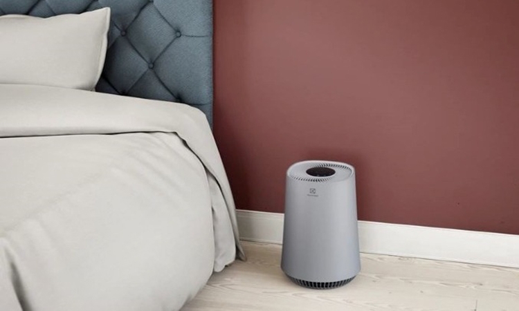 Máy lọc không khí Electrolux của nước nào? (hình 2)