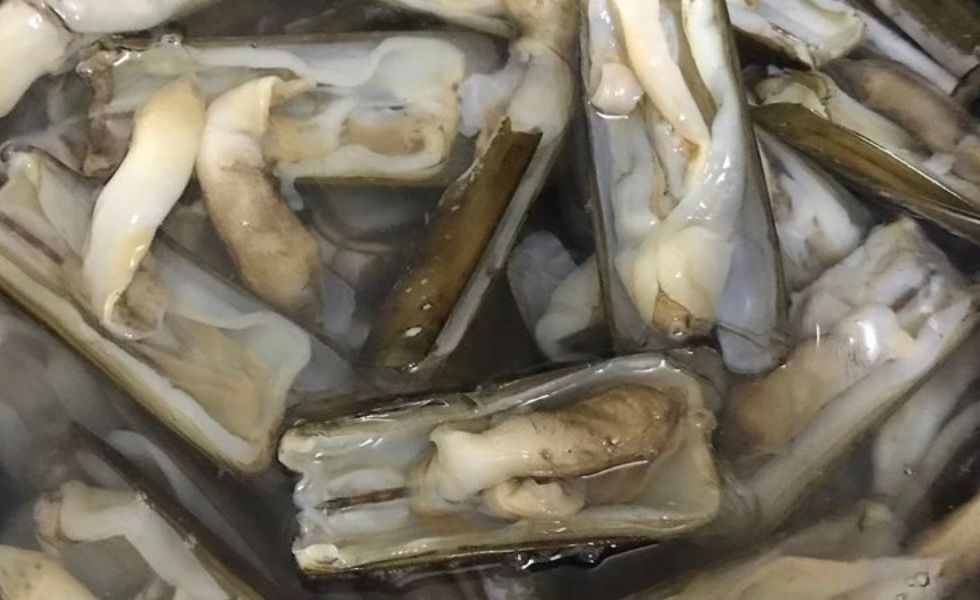 Ngâm ốc với nước ấm