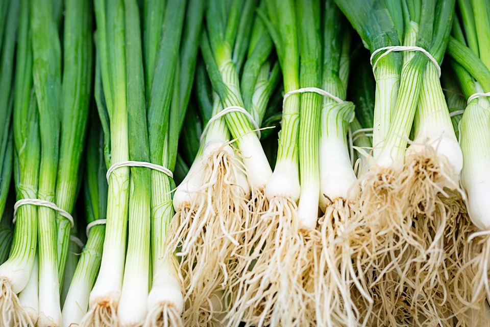 Cách bảo quản hành lá - Ảnh 03