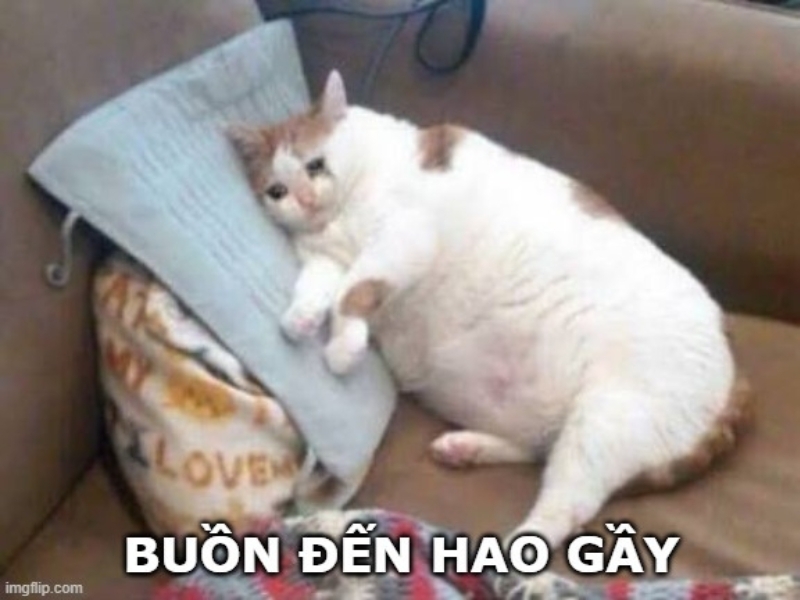 Meme buồn một cách hài hước 1