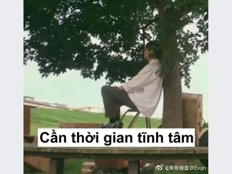 Meme buồn đau đớn, nỗi buồn cô đơn 3