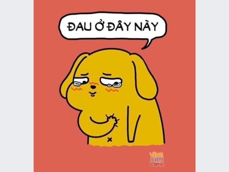 Meme buồn dễ thương, cute 5