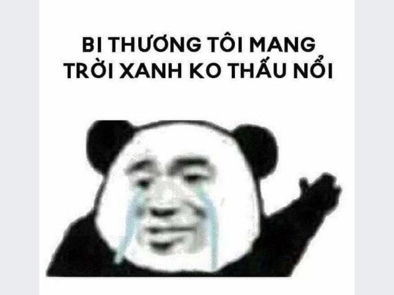 Meme buồn một cách hài hước 5