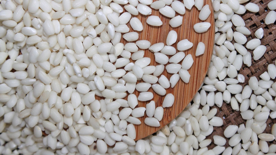 Hạt gạo nếp tròn mẩy