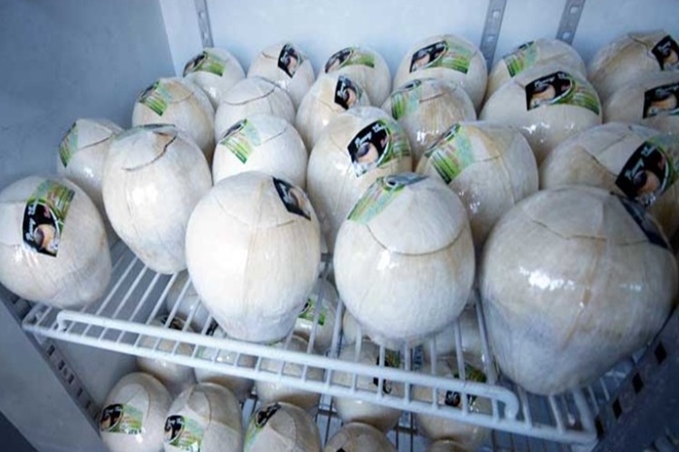 Nước dừa để tủ lạnh được bao lâu và những lợi ích tuyệt vời mà nước dừa mang lại cho sức khỏe 5