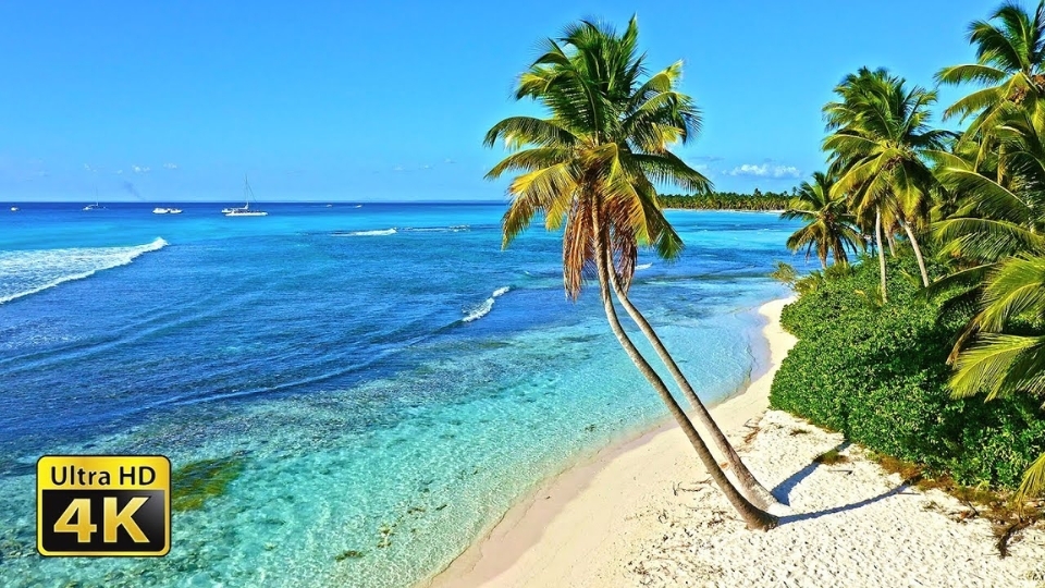 Những câu hỏi mà bạn thường gặp