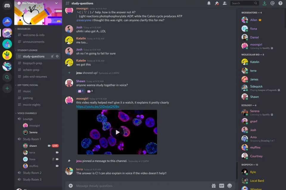 discord đa dạng hình thức giao tiếp