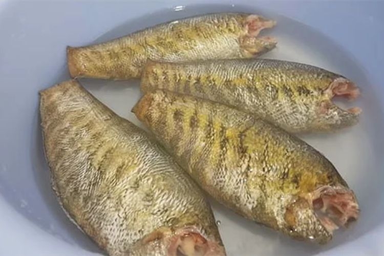 Ngâm cá trong nước muối loãng trong khoảng thời gian nhất định