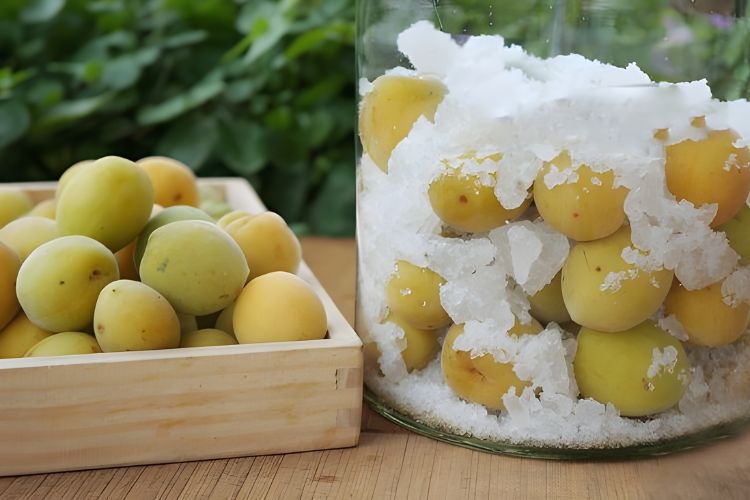 Ngâm mơ với đường phèn thơm ngon