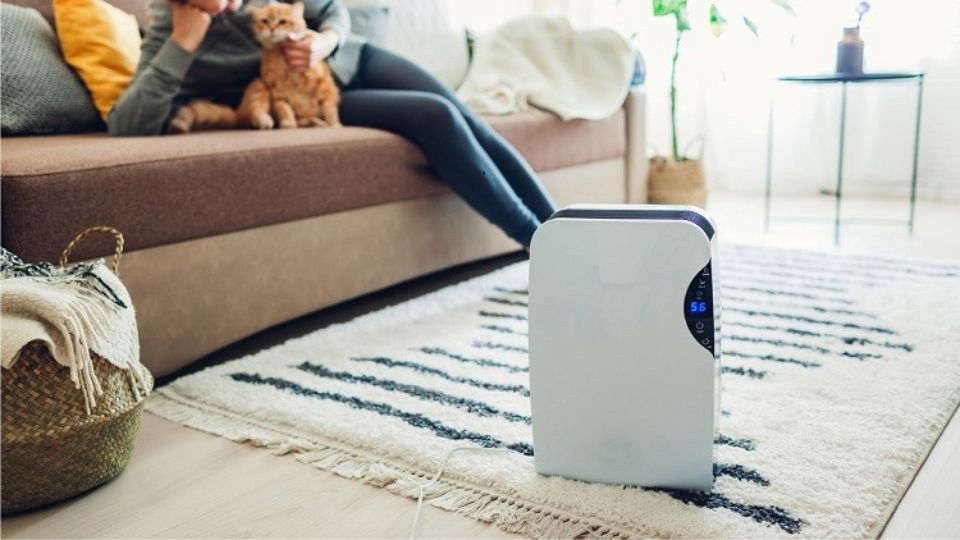 Máy hút ẩm không ra nước hoặc bị rò rỉ nước ra ngoài