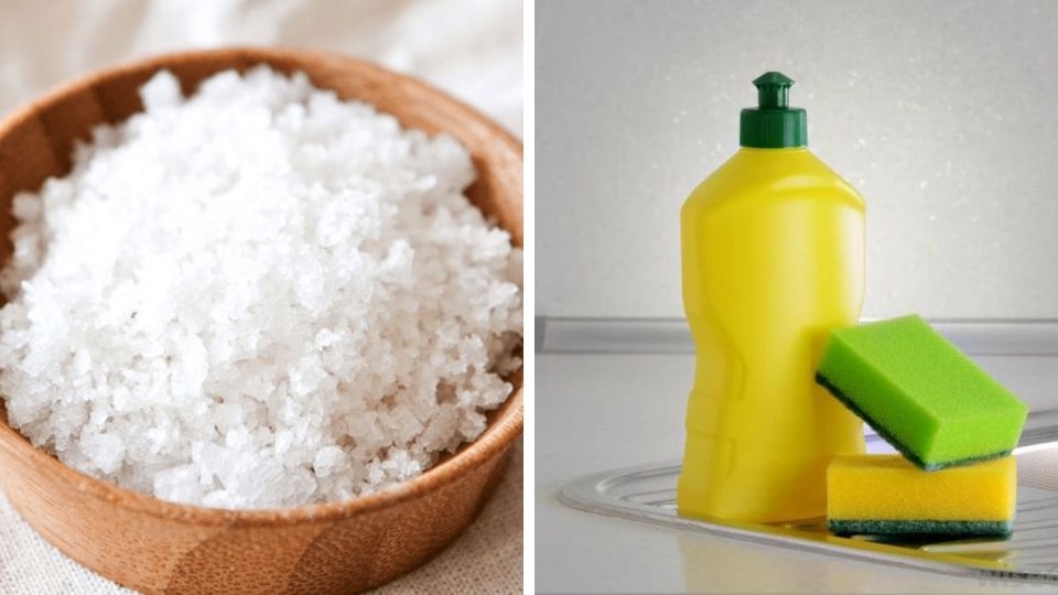 Rửa ly sứ bằng muối hột và nước rửa chén