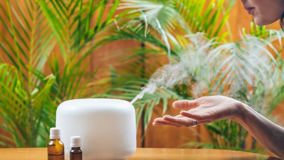 Máy tạo độ ẩm Humidifier