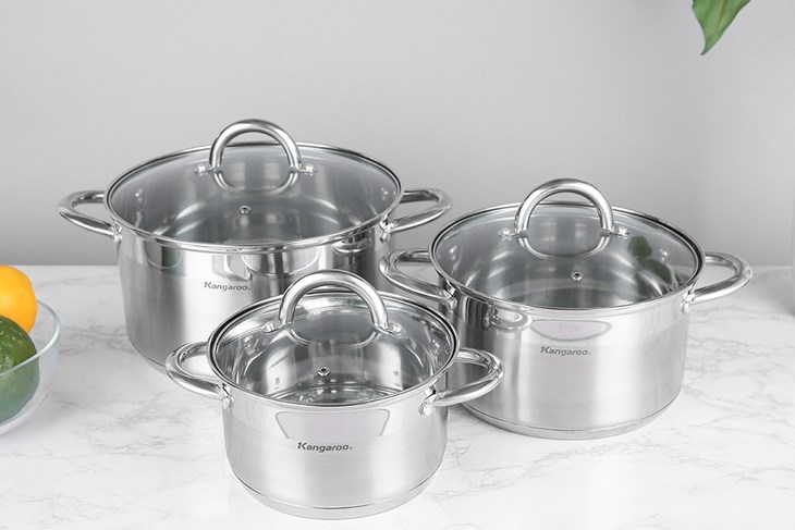 Thương hiệu nồi inox tốt nhất hiện nay: Top 8 thương hiệu uy tín được tin dùng nhiều nhất 4