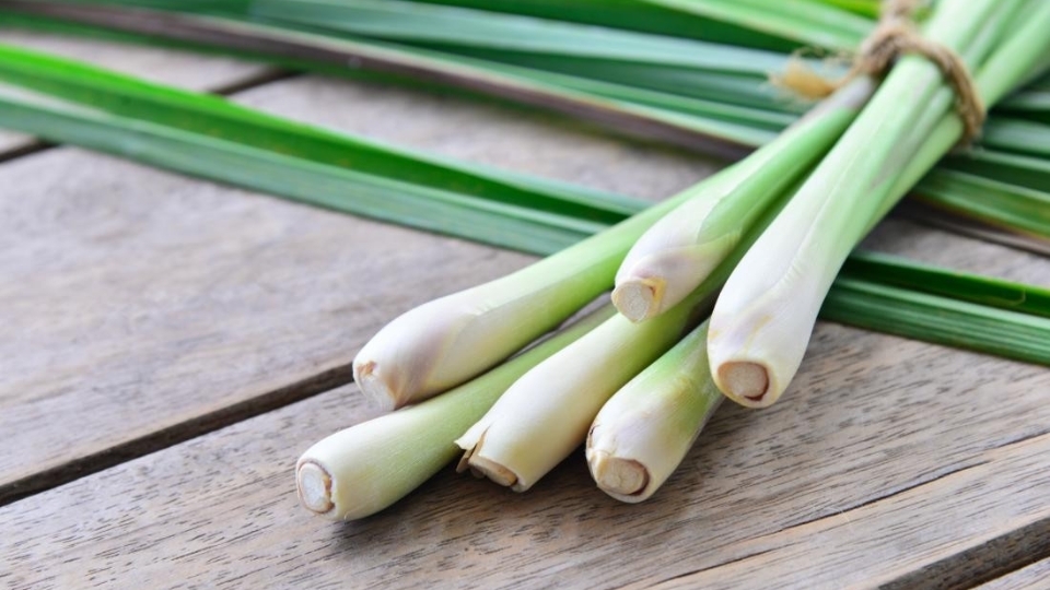 Cách lựa chọn sả tươi ngon