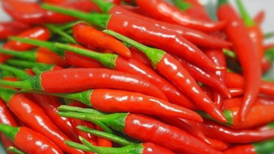 Cách lựa chọn mua ớt thật tươi ngon