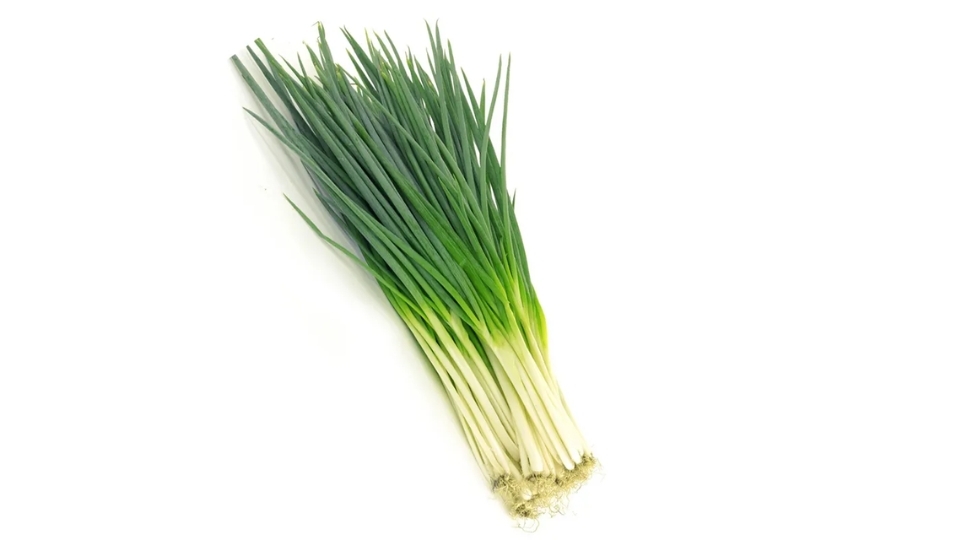 Cách lựa chọn mua hành lá thật tươi ngon
