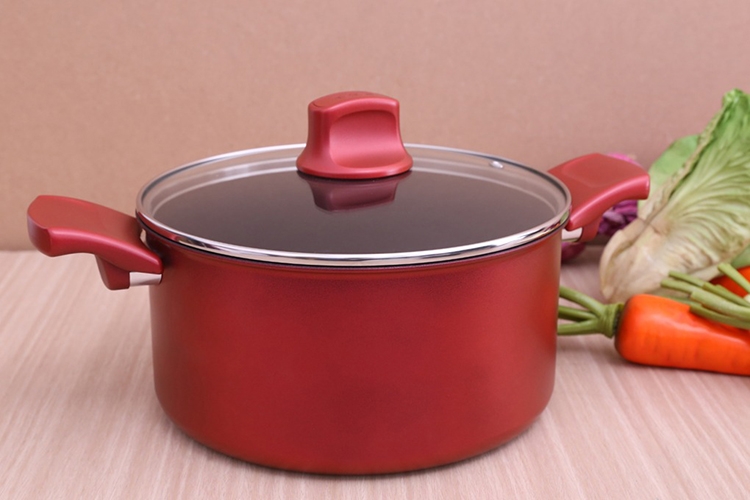 Nồi Tefal của nước nào? (hình 2)