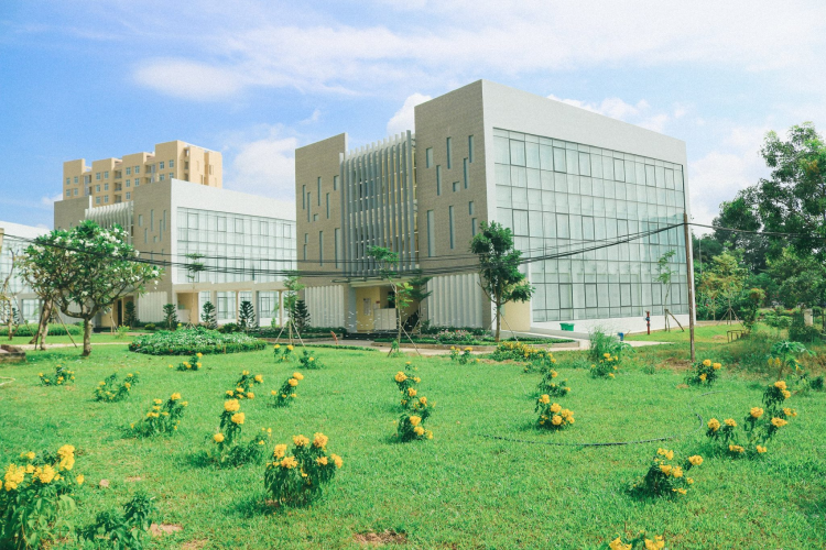 Trường Đại học Khoa học Xã hội và Nhân văn