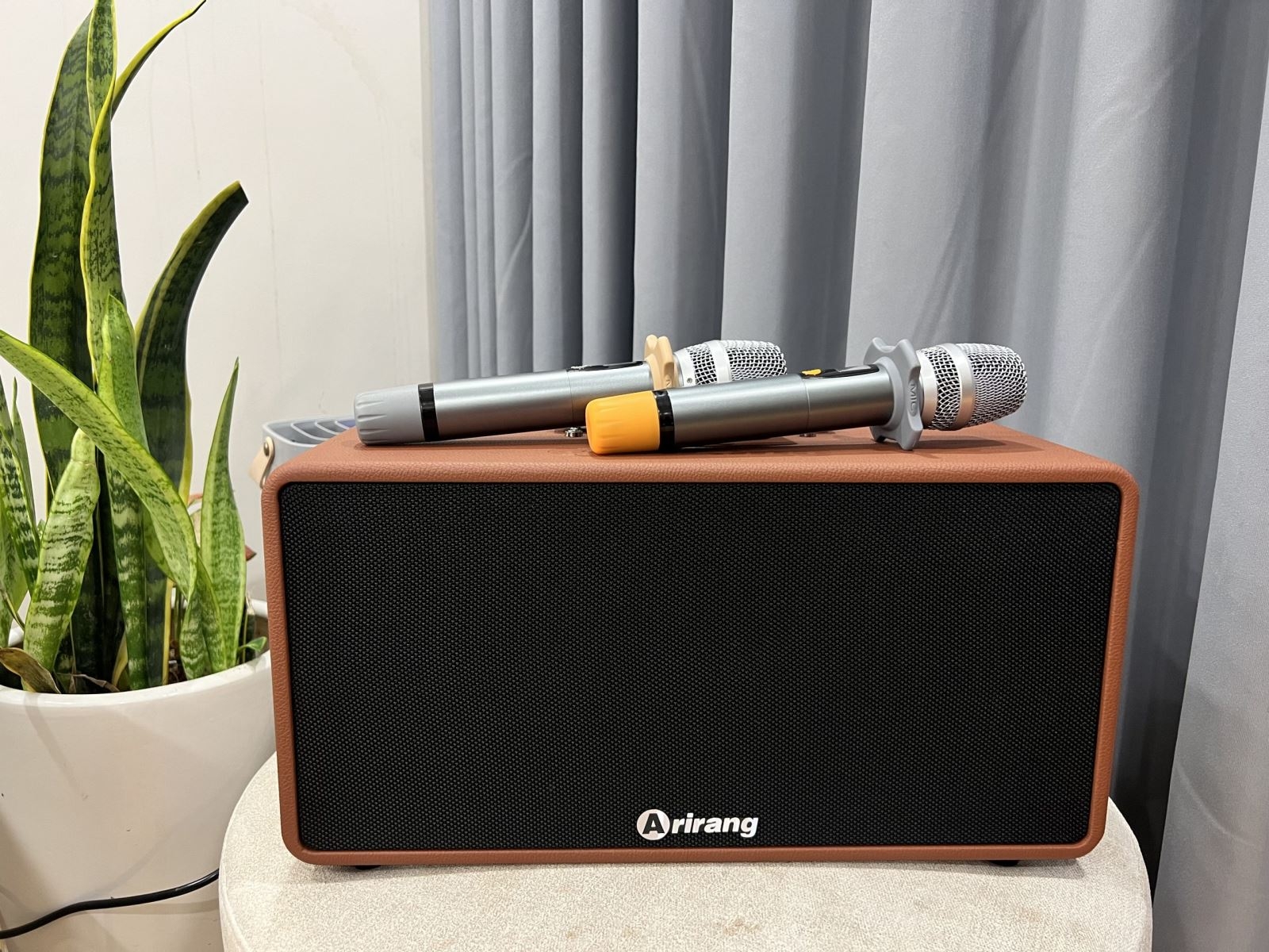 Loa arirang nghe nhạc có hay không - hình 1