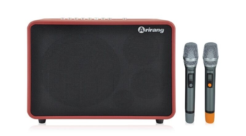 loa arirang nghe nhạc có hay không - hình 7