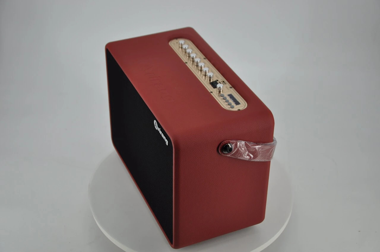 Loa arirang nghe nhạc có hay không - hình 5