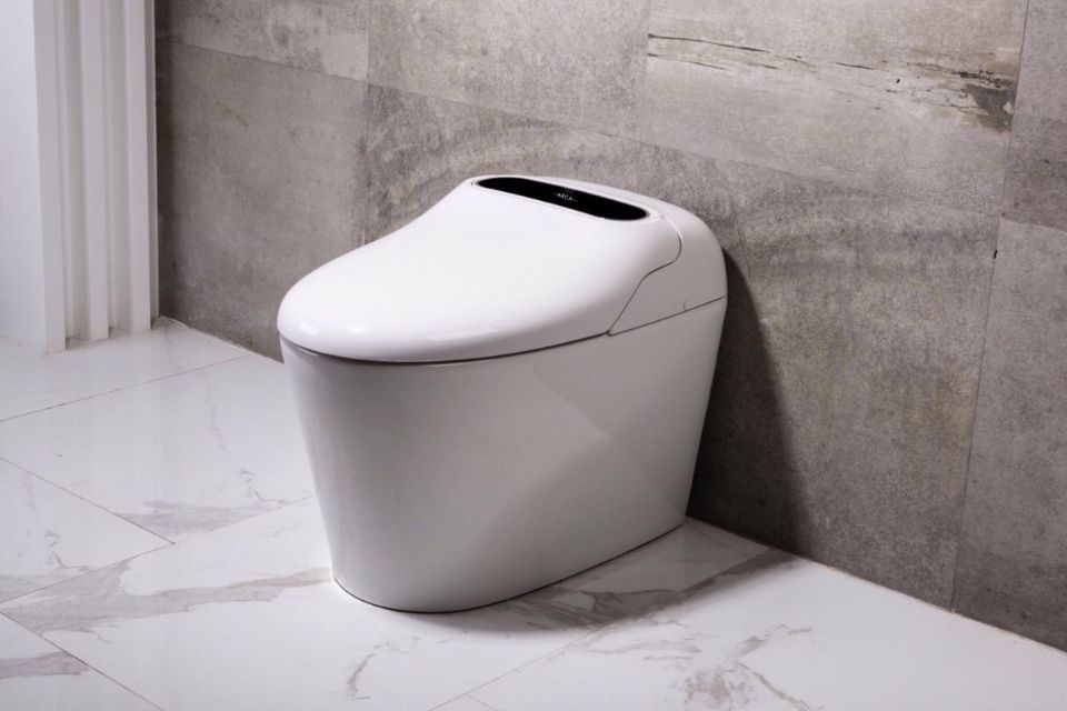 ARCA của nước nào 2
