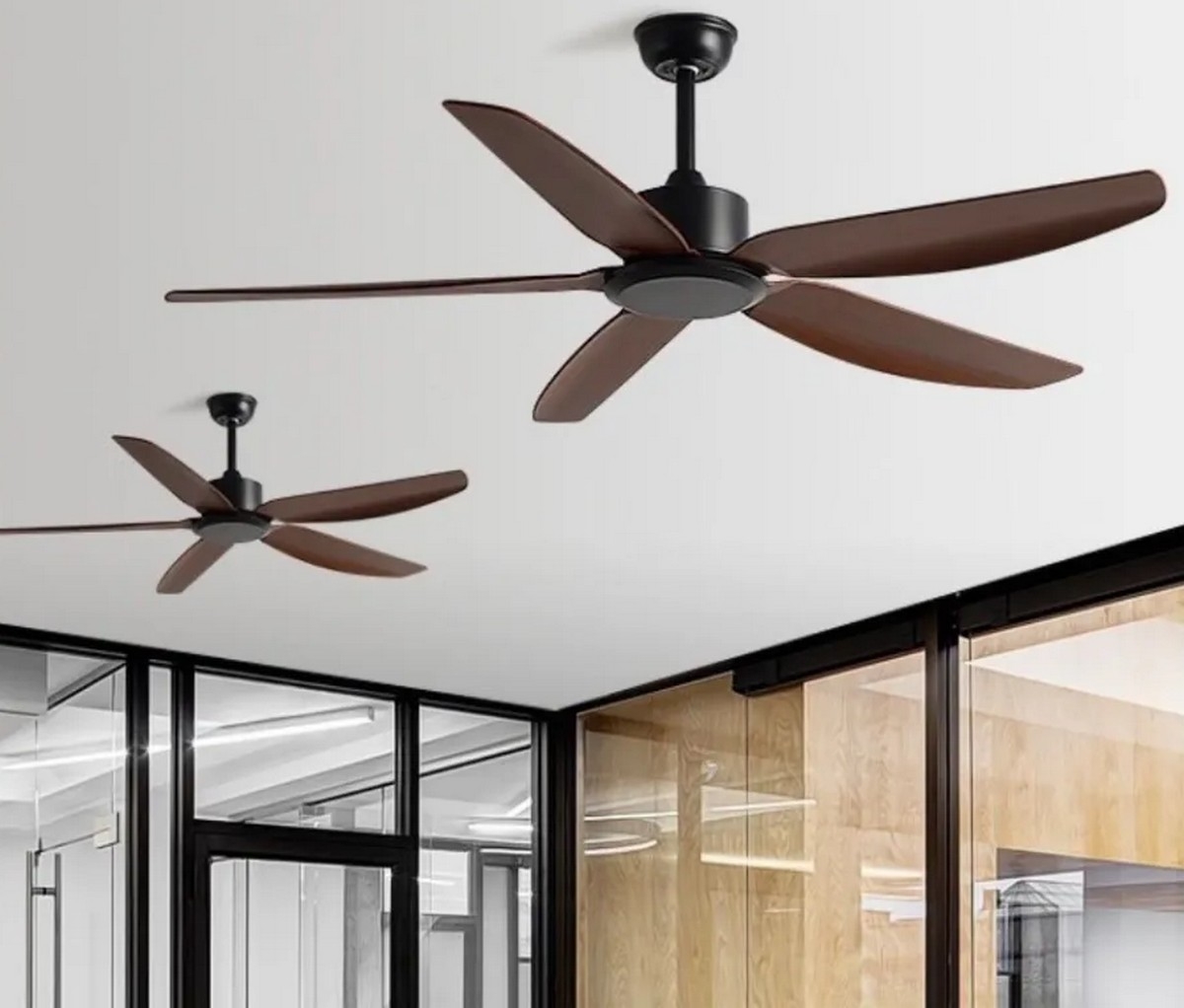 quạt trần quay ngược - hình 4